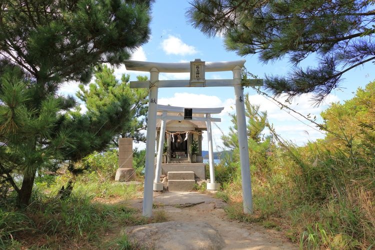 Hakoshima Shrine 3