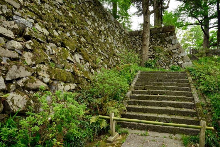 Tamba Kameyama Castle Ruins