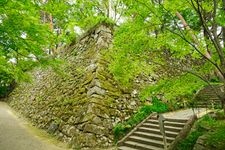 Tourist destination images of Tamba Kameyama Castle Ruins(2)