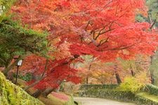 Tourist destination images of Tamba Kameyama Castle Ruins(3)