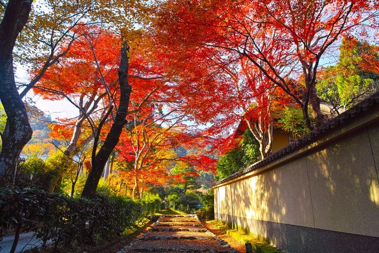 Saga-Torii-moto Important Preservation District for Groups of Traditional Buildings