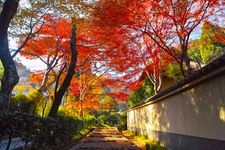 Tourist destination images of Saga-Torii-moto Important Preservation District for Groups of Traditional Buildings(1)