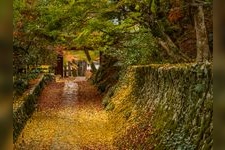 Tourist destination images of Sekigan-ji Temple(5)