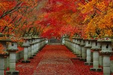 Tourist destination images of Takayamadera Temple(1)