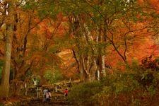 Tourist destination images of Takayamadera Temple(2)