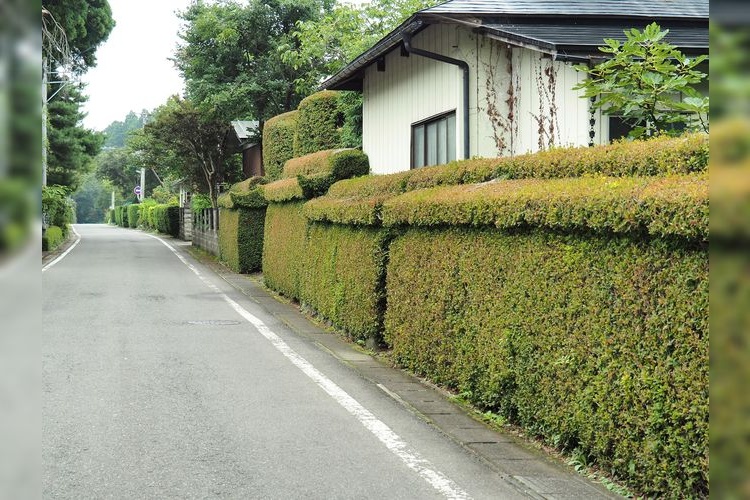 Suwa Koji in Kanegasaki Castle Town