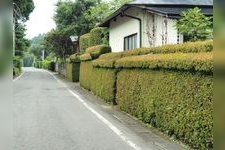 Tourist destination images of Suwa Koji in Kanegasaki Castle Town(1)