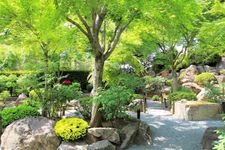 Tourist destination images of Hōtoku-ji Temple(7)