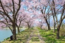 Tourist destination images of Shirousa Rokudo no Tsuji and Roku-men To (Six-sided Pagoda)(1)