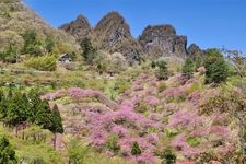 Tourist destination images of Myogi Mountain Sakura no Sato (Prefectural Forest Park)(2)