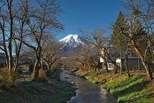 Tourist destination images of Omiya-bashi (Shinmyoshogawa River Cherry Blossom Trees)(2)