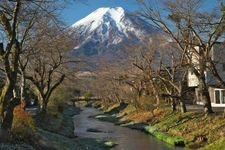 Tourist destination images of Omiya-bashi (Shinmyoshogawa River Cherry Blossom Trees)(2)