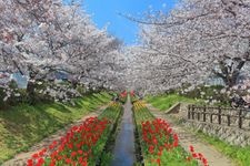 Tourist destination images of Egawa Seseragi Green Road(1)