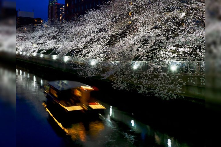 Tourist destination images of Ishijima Bridge(2)