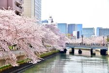 Tourist destination images of Ishijima Bridge(1)