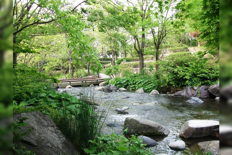 Kassenkankyou Rakuen (River Environmental Park)