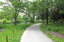 Tourist destination images of Kassenkankyou Rakuen (River Environmental Park)(3)