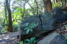 Tourist destination images of Atami Stone Quarry Site (Former Edo Castle Stone Quarry Site)(2)