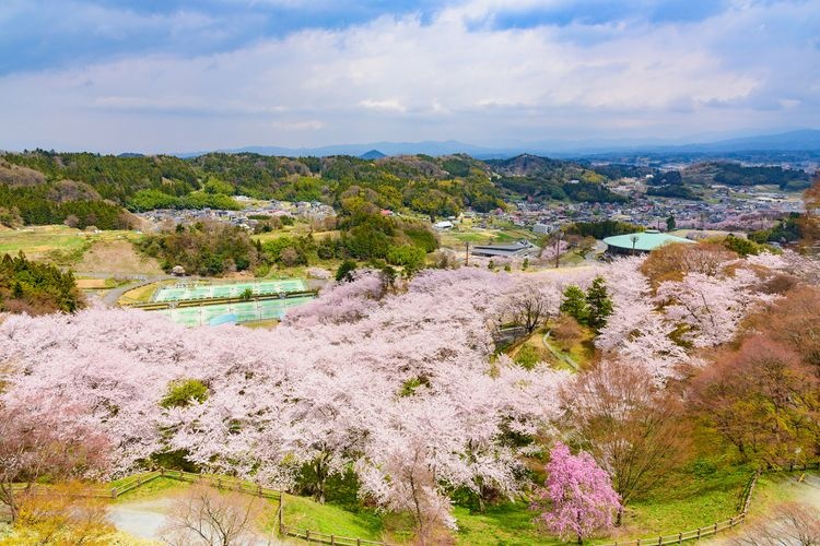 二本松城（霞ヶ城公園）