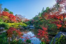 Tourist destination images of Myoshin-ji Taizo-in(3)