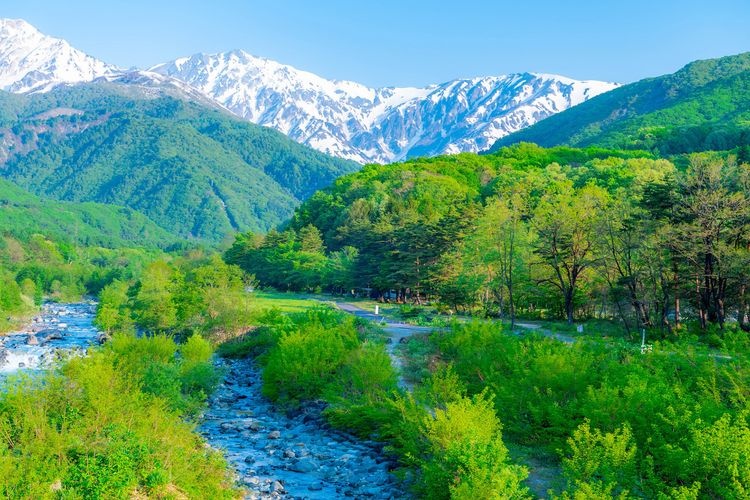 Hakuba Ohashi Bridge