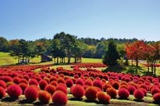 Tourist destination images of Hirugano Picnic Garden(1)