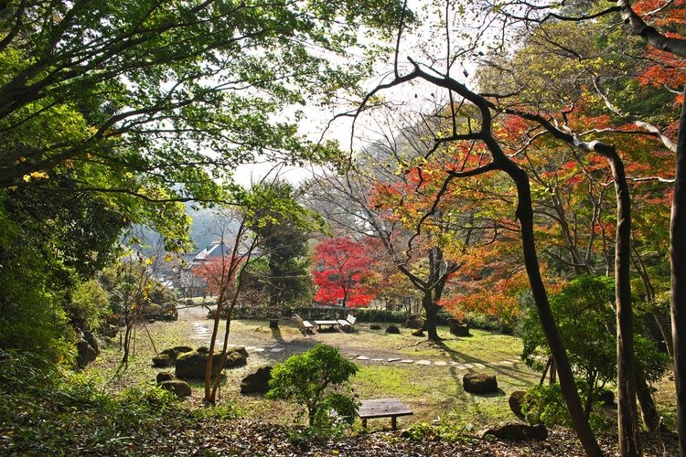 Nanasawa Forest Park