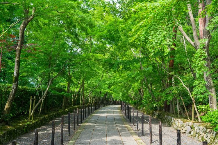 Koumyou-ji Temple