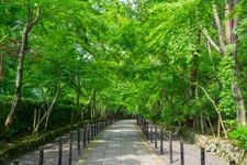 Tourist destination images of Koumyou-ji Temple(1)