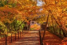 Tourist destination images of Koumyou-ji Temple(2)