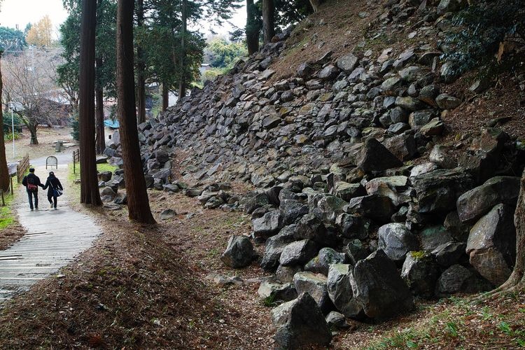 Ishigakiyama Castle Ruins