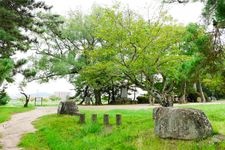 Tourist destination images of Bichu-Takamatsu Castle Ruins(2)