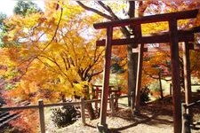 Tourist destination images of Nagashino Castle Ruins(2)