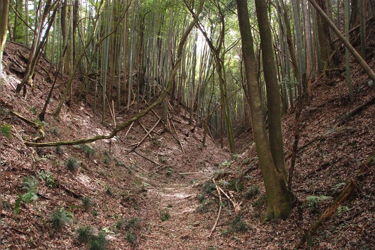 Obata Castle Ruins