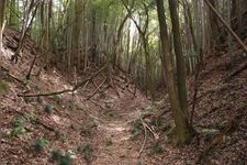 Tourist destination images of Obata Castle Ruins(1)