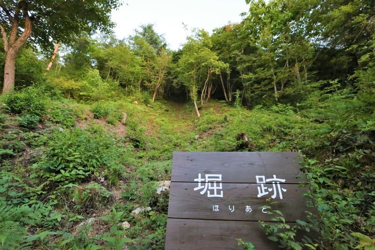 Mukakuguroyama Castle