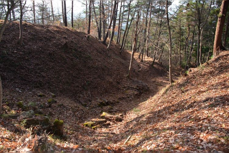 向羽黒山城