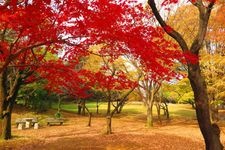 Tourist destination images of Tokorozawa Aviation Memorial Park(2)