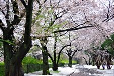 Tourist destination images of Tokorozawa Aviation Memorial Park(4)