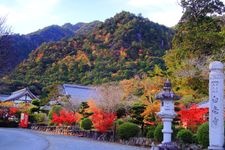 Tourist destination images of Hakuho-ji Temple(1)