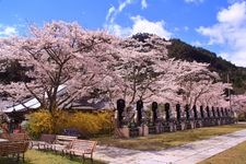 Tourist destination images of Hakuho-ji Temple(2)