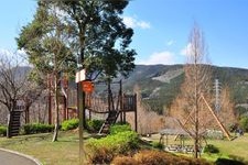 儿童森林顽皮乐园的旅游景点图片(2)