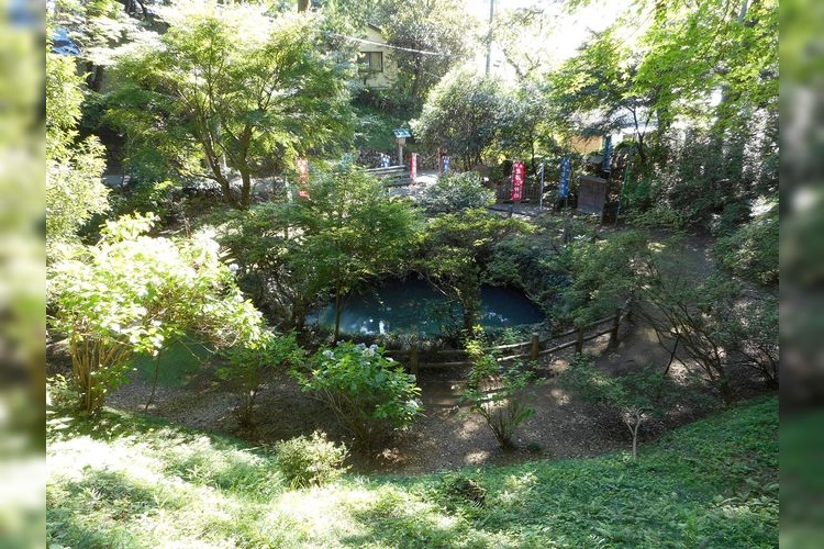 Karasayama Castle Ruins