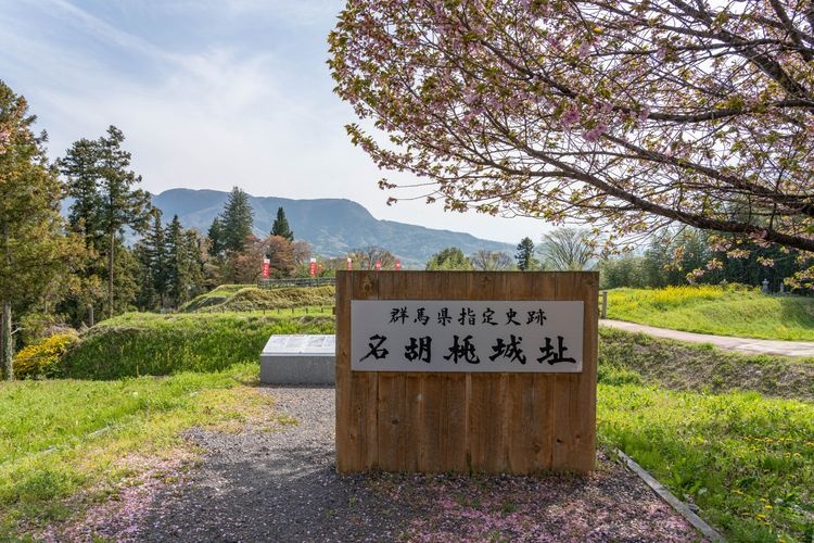 ปราสาทนาโกโระ (Nagohiro Castle)