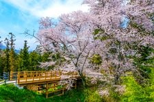 Tourist destination images of Nagunutsugi Castle Ruins(1)