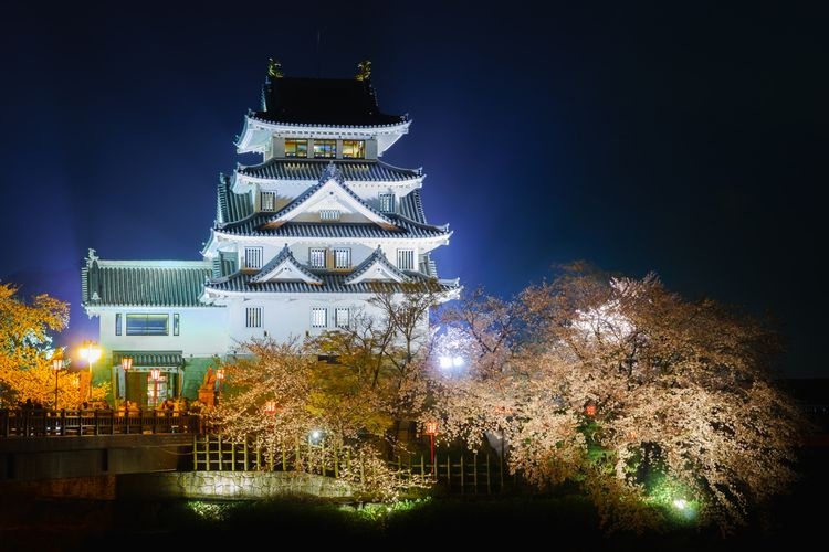 Tourist destination images of Sumata One-Night Castle (Ogaki City Sumata History Museum)(3)