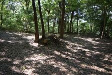 Tourist destination images of Tsukuijō Castle(3)