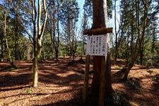 Tourist destination images of Akechi Castle(3)