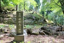 Tourist destination images of Wakasakura Oni-ga-jo Castle(1)