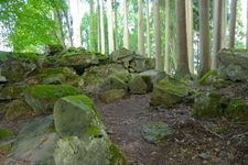 Tourist destination images of Wakasakura Oni-ga-jo Castle(2)